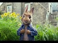 Peter Rabbit (2018)  Now on best egy Link Down video