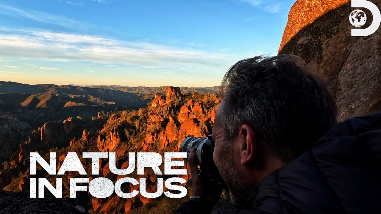 Documentary backdrop image for Uncovering Pinnacles National Park (2023)