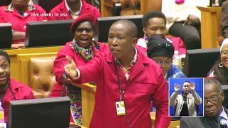 'Shut Up Julius Malema' - ANC MP In Parliament