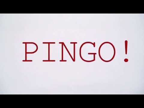 PINGO: Tutorial - Gesamtverfahren