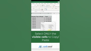 Select Visible cells tool built into Excel