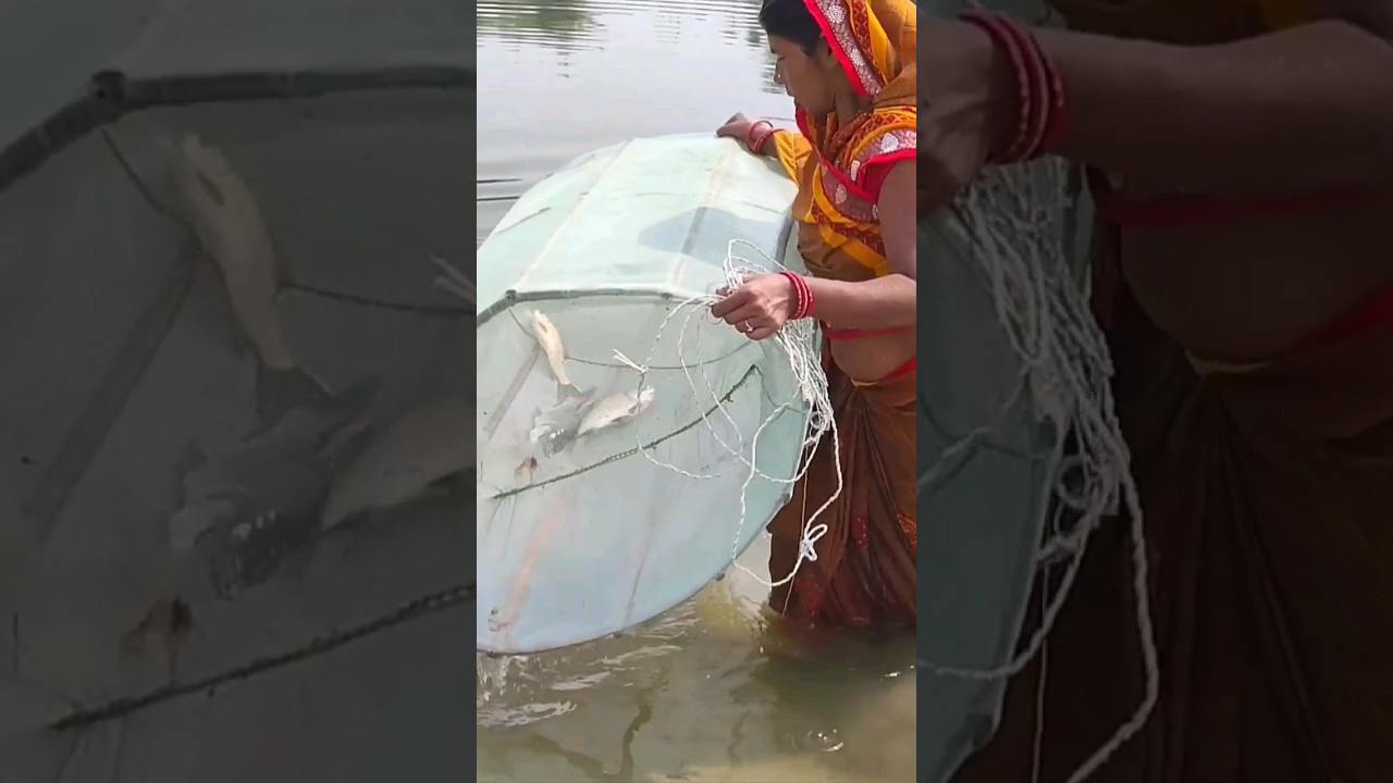 amazing catching techniques,fish catching technique in pond,river fishing tips and technique, #viral