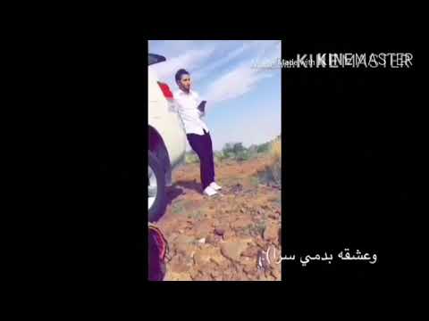 عسل عسل كلك عسل