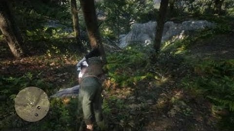 Red Dead Redemption 2 Chapter 6 intro