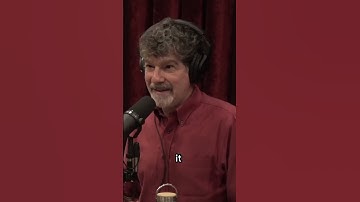 Joe Rogan & Bret Weinstein — What Is ChatGPT ?