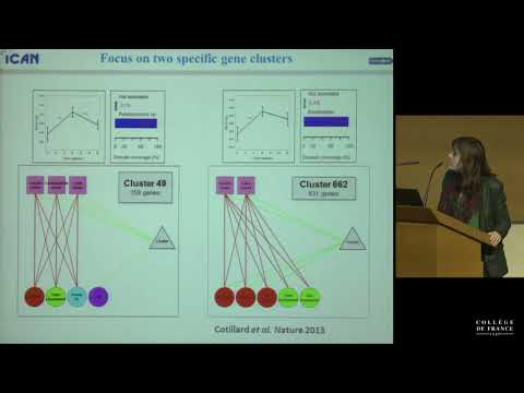 Microbiota, Nutrition and Metabolism (9) - Philippe Sansonetti (2013-2014)