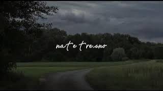 nate tresno speed up