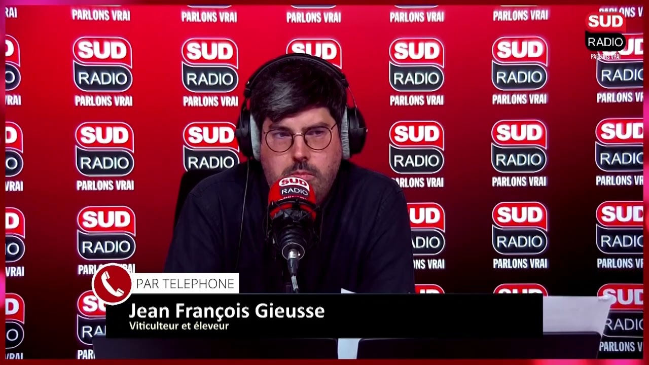 Témoignage : opération solidarité après un orage de grêle dévastateur dans ces vignes