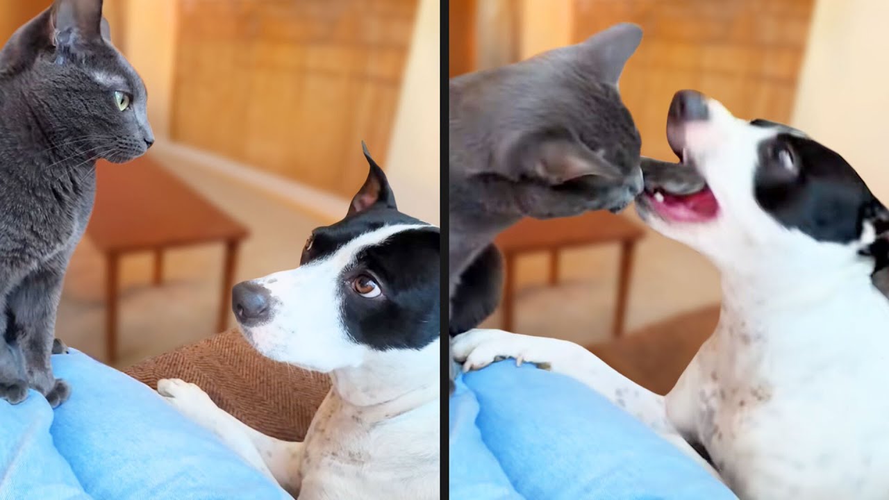 He Should've Known This Would Happen