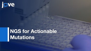 NGS for Actionable Mutations Detection in Solid and Liquid Tumors | Protocol Preview