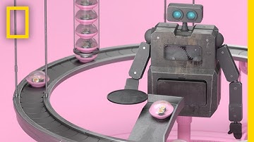 Vicious Cycle: This Cute Little Robot Has No Idea What’s Coming | Short Film Showcase