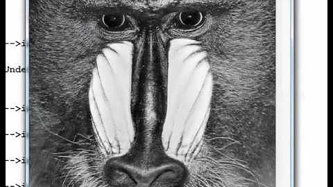 Basics on SciLab Programming part 1 of 2