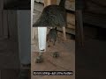 FunCatyBaby - Caty plays with toy