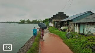 Walking in Rain in a Beautiful Village in South India | Relaxing Rainy day scenes in 4K | ASMR Rain