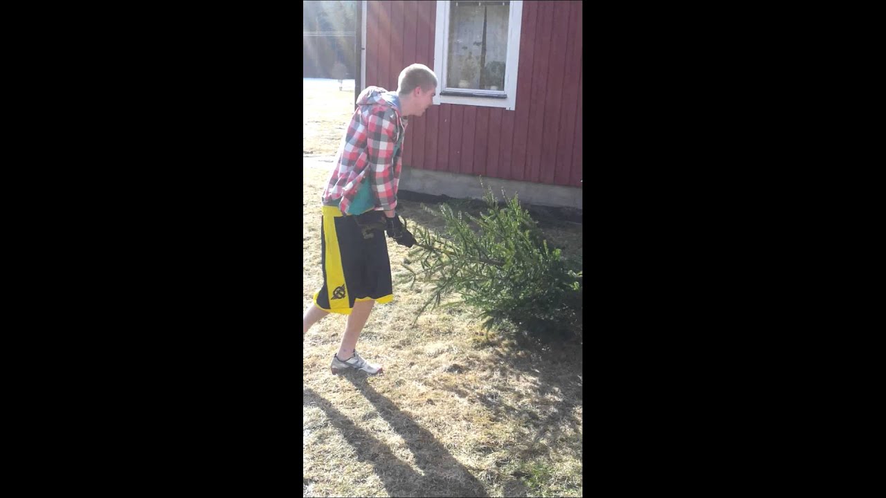 Vad vi gör i Östmark