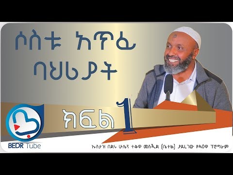 ቪዲዮ: የኖርዲክ ባህሪ ፣ ወቅታዊ