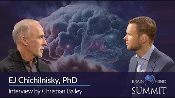 Interview with E.J. Chichilnisky at the BrainMind Summit