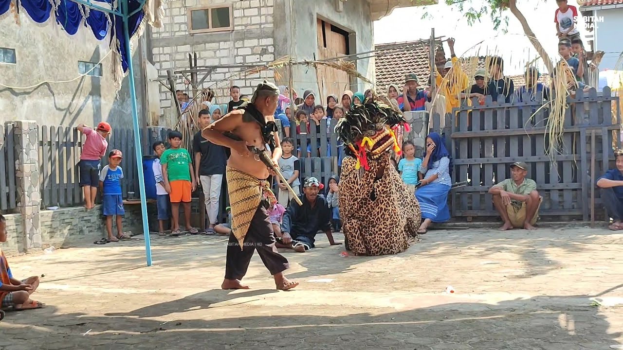 Barongan Nyuuuaplok NDAK UMOM !! BARONGAN TRI SAKTI BUDOYO Live Genengmulyo Juwana 4 Juni 2023