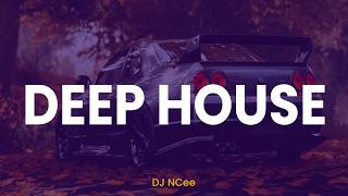 Deep House Mix 2025 🌍🔥 Global & SA Vibes | Nora En Pure, Black Coffee, Dom Dolla, Kelvin Momo
