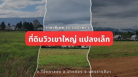 P439 ด่วนราคานี้ภายใน2568เท่านี้! ที่ดินเขาใหญ่400วา,600วา วิวสวยน้ำไม่ท่วม