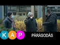 Maszkban | PÁRÁSODÁS