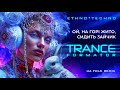 Ой на горі жито сидить зайчик Ethno Techno Trance 2025 Techno Folk Remix Tribal Fusion