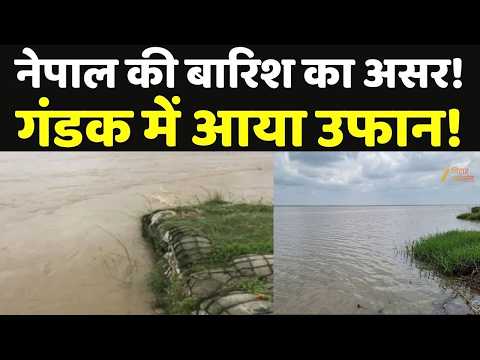 Bihar Flood Update : नेपाल की बारिश का असर,गंडक में आया उफान!