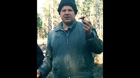 Q & A with Bill Mousoulis and Dirk de Bruyn on films by Nick Ostrovskis for Unknown Pleasures Feb 13