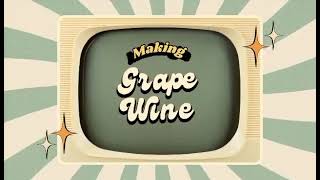 Homemade Grape Wine  | PERFORMANCE TASK IN GENERAL CHEMISTRY✨️