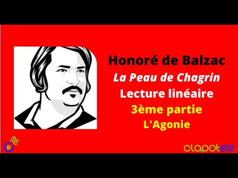 Vidéo: 3 façons étonnantes d'honorer un Pékinois décédé