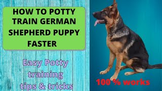 How to Potty Train a Puppy or Dog in Tamil | 5 EASY TIPS for potty training a dog | German shepherd