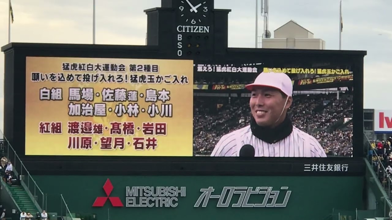2022年阪神タイガースファン感謝デー　玉かご入れ