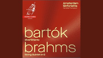 Divertimento for String Orchestra, Sz. 113, BB 118: I. Allegro non troppo