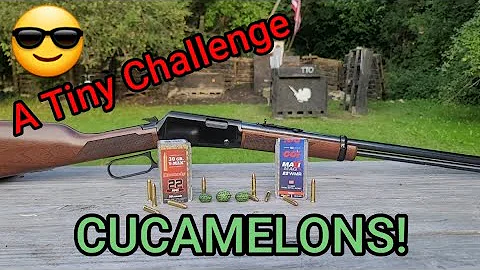 HENRY 22 Magnum CUCAMELON Chootin! We Don't Need No Stinkin Watermelons!😜