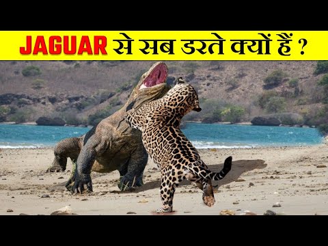 JAGUAR का हमला इतना खतरनाक क्यों होता है ? WHY JAGUAR ATTACK IS SO DANGEROUS.