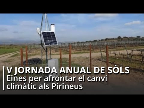 Vídeo: Loess i margues semblants a loess: formació, estructura i fets interessants