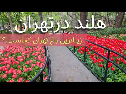 تصویری: باغ گل بدون دردسر