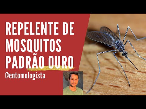Vídeo: Você deve usar repelente de insetos com deet?