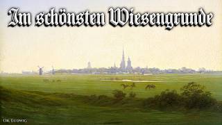 Video thumbnail of "Im schönsten Wiesengrunde [German folk song][+English translation]"