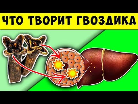 Video: Мончо ден соолукка коркунучтуу