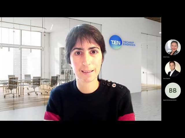 Auditions complémentaires scientifiques et experts : Interview de Sophie YTOURNEL - Technip Energies