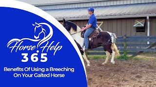 Benefits Of Using a Breeching On Your Gaited Horse | Horse Help - Michael Gascon
