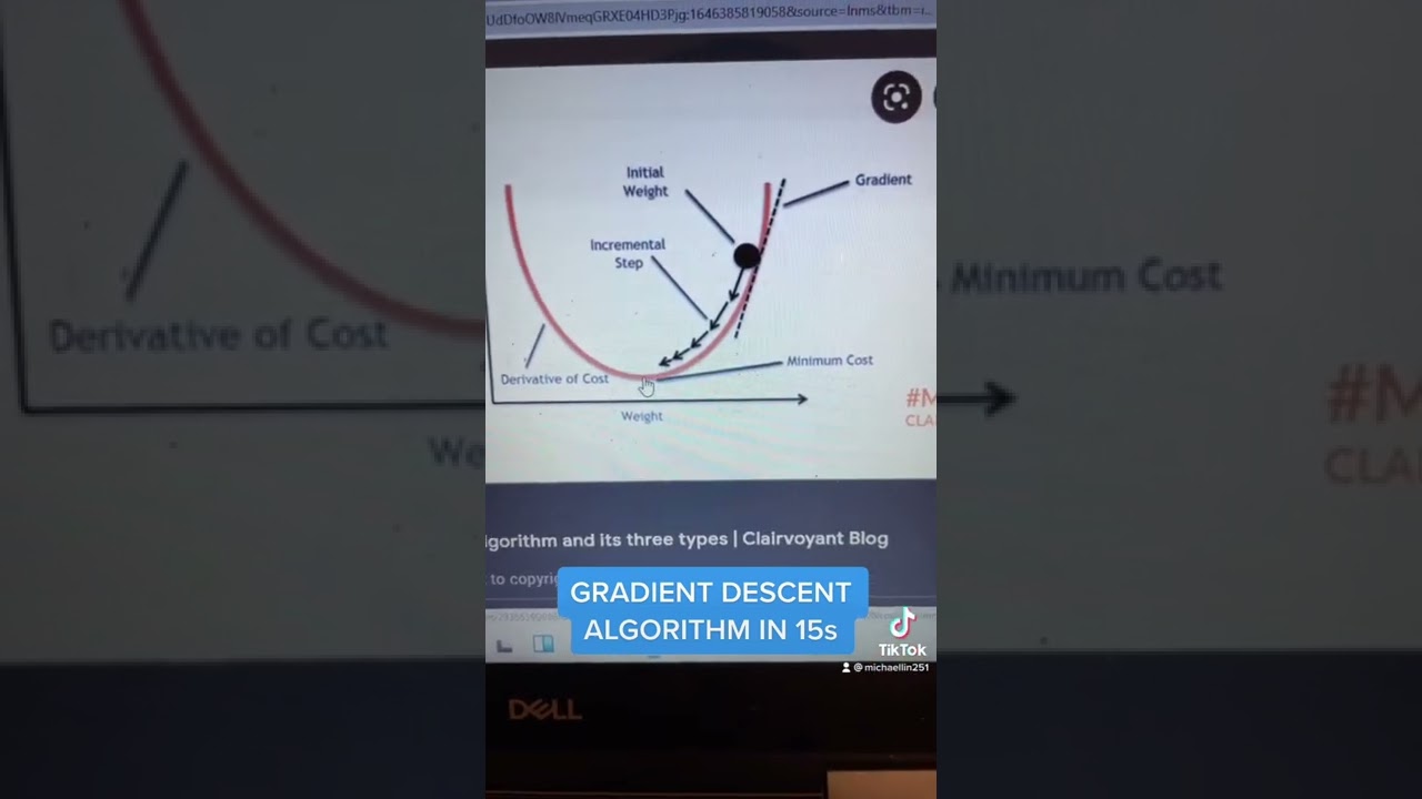 GRADIENT DESCENT ALGORITHM IN 15s