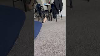 This very true #jesus #jesuschrist #serious #spirituality #spreadtheword ￼