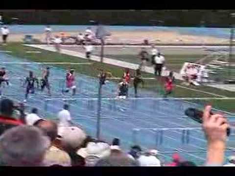 IHSA Class AA Boys 110 High Hurdle Final (2008-05-...