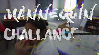 Mannequin Challange 4A 2017