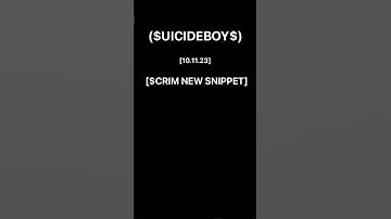 $CRIM NEW SNIPPET                                        [$UICIDEBOY$] 10.11.23