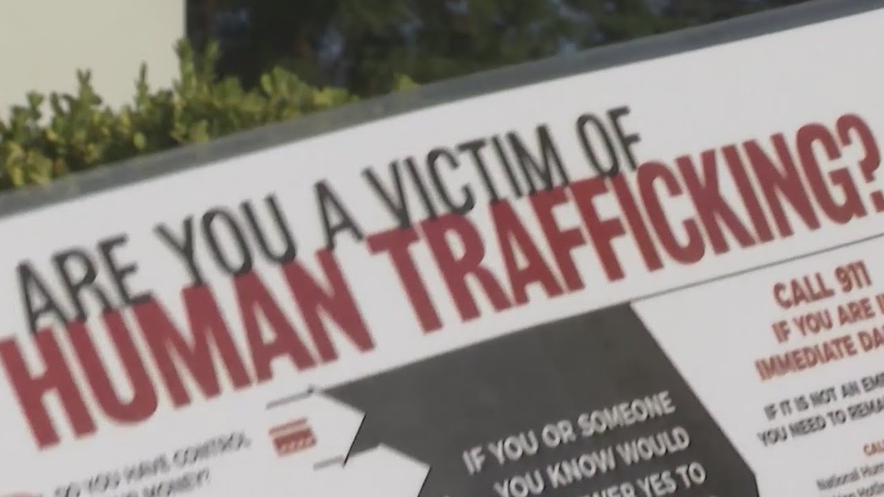 City takes steps to fight human trafficking - YouTube
