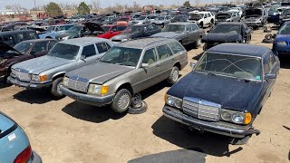 ANOTHER Mercedes-apalooza in the Junkyard! More JUNKED Mercedes-Benzes for Everyone to Enjoy!