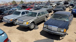 ANOTHER Mercedesapalooza in the Junkyard!  More JUNKED MercedesBenzes for Everyone to Enjoy!